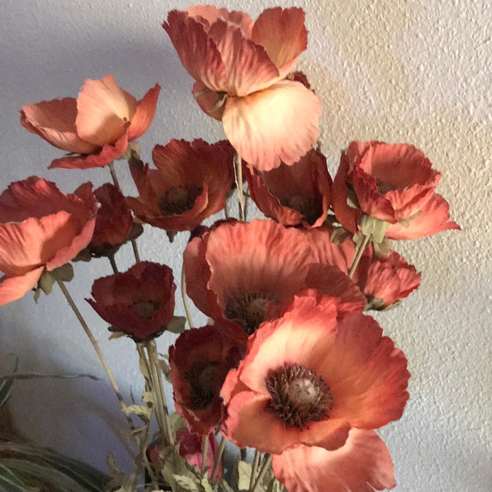 Meet your Posher, Diana